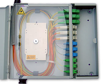 Almost Everything You've Always Aspired To Learn About Nutrients